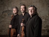 Trio Wanderer &copy;Francois Sechet